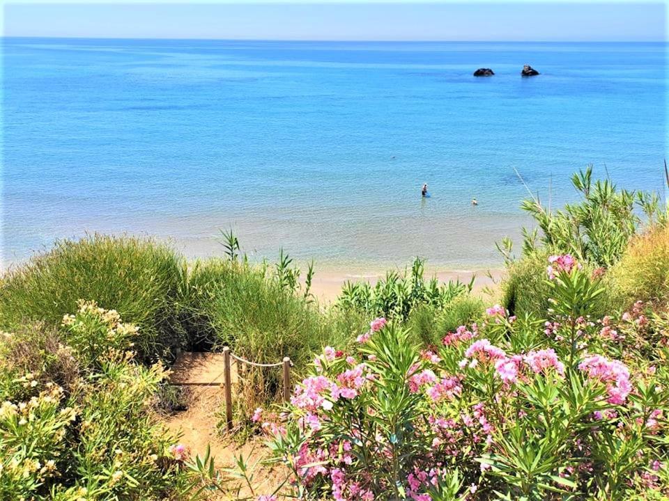 Tetraktys Estate Beachside Υδωρ Agios Matthaios  Exterior photo