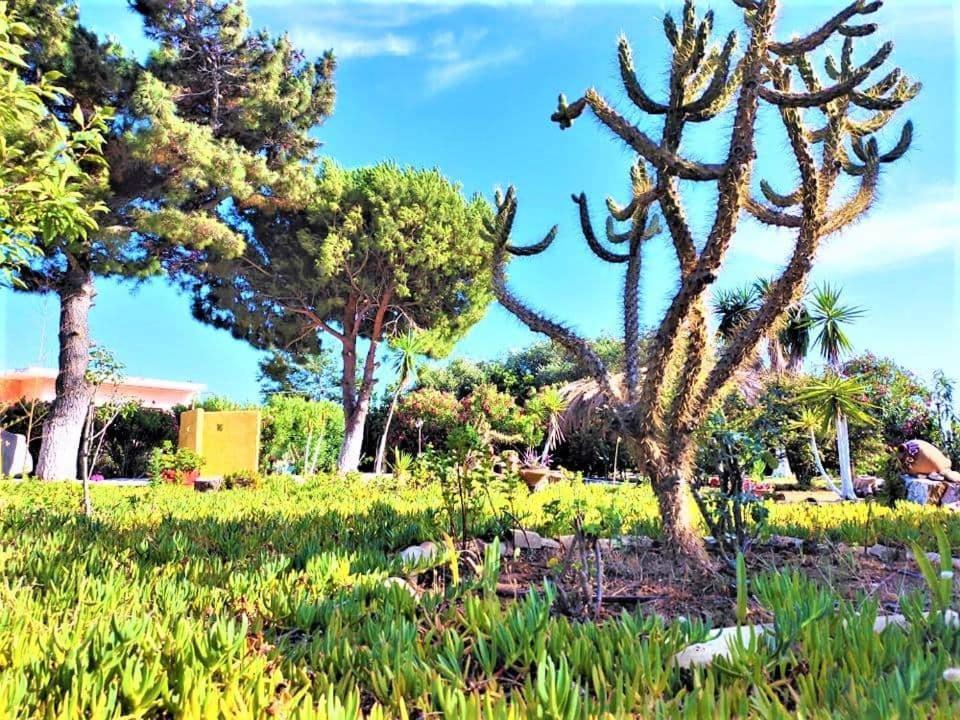 Tetraktys Estate Beachside Υδωρ Agios Matthaios  Exterior photo