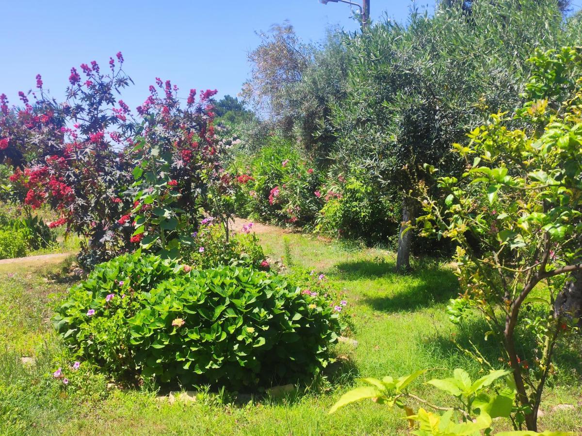 Tetraktys Estate Beachside Υδωρ Agios Matthaios  Exterior photo